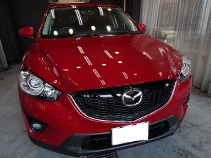 サイバーショット 007