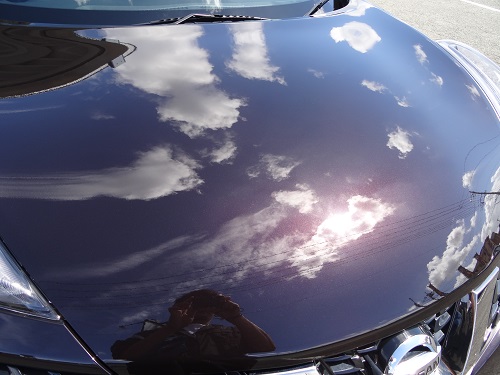 %e3%82%b5%e3%82%a4%e3%83%90%e3%83%bc%e3%82%b7%e3%83%a7%e3%83%83%e3%83%88-007