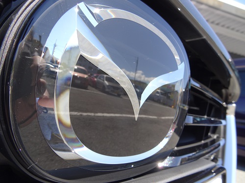 %e3%82%b5%e3%82%a4%e3%83%90%e3%83%bc%e3%82%b7%e3%83%a7%e3%83%83%e3%83%88-042