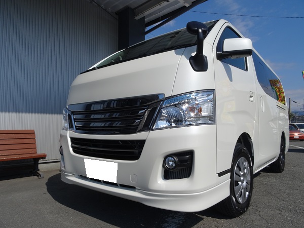 サイバーショット 019